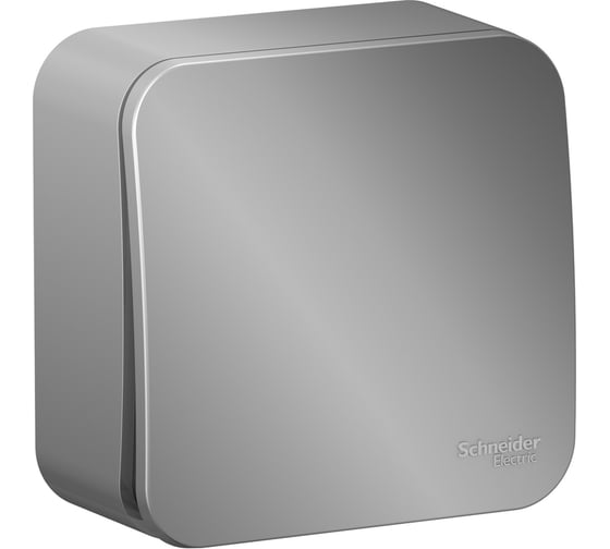 1-клавишный выключатель Systeme Electric Blanca открытой установки (cх.1) с самовозвратом, изолирующая пластина, 10а, алюминий BLNCA101013