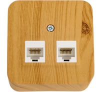 Двойная компьютерная розетка Systeme Electric Blanca открытой установки, rj45, кат.5e, изолирующая пластина, ясень BLNIA045455