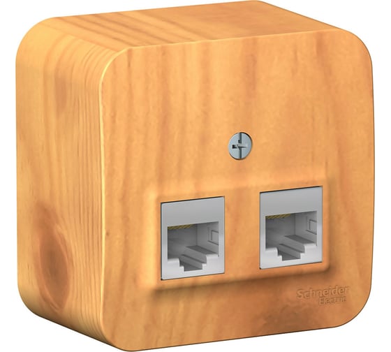 Двойная компьютерная розетка Systeme Electric Blanca открытой установки, rj45, кат.5e, изолирующая пластина, ясень BLNIA045455 1