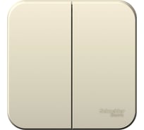 2-клавишный выключатель Systeme Electric Blanca открытой установки (cх.5), 6а, 250в, молочный BLNVA065002