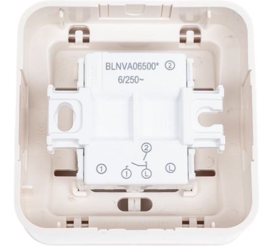 2-клавишный выключатель Systeme Electric Blanca открытой установки (cх.5), 6а, 250в, молочный BLNVA065002