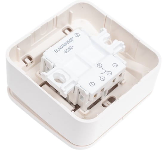 2-клавишный выключатель Systeme Electric Blanca открытой установки (cх.5), 6а, 250в, молочный BLNVA065002