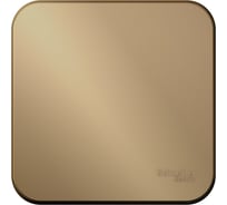 1-клавишный выключатель Systeme Electric Blanca открытой установки (cх.1) с самовозвратом, изолирующая пластина, 10а, титан BLNCA101014