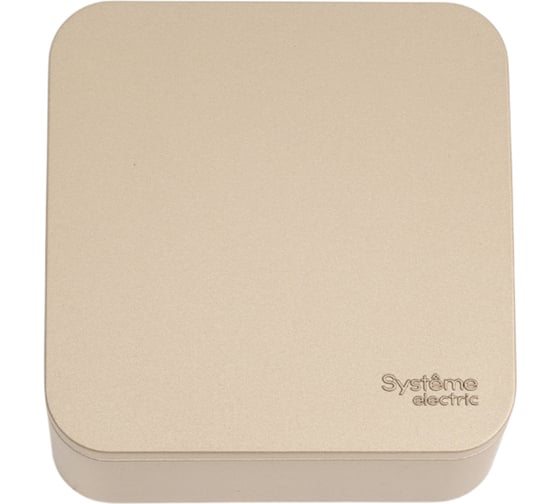 1-клавишный выключатель Systeme Electric Blanca открытой установки (cх.1) с самовозвратом, изолирующая пластина, 10а, титан BLNCA101014 1