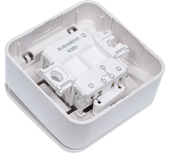 2-клавишный выключатель Systeme Electric Blanca открытой установки (cх.5) с подсветкой, 6а, 250в, белый BLNVA065101