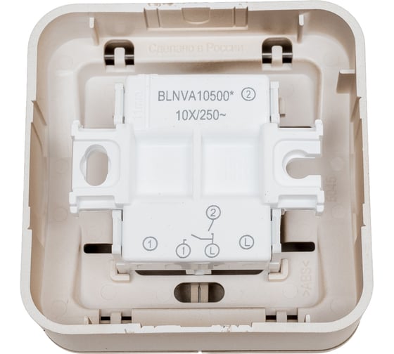 2-клавишный выключатель Systeme Electric Blanca открытой установки (cх.5), 10а, 250b, титан BLNVA105004