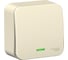 1-клавишный выключатель Systeme Electric Blanca открытой установки (cх.1) с подсветкой, 6а, 250в, молочный BLNVA061102 2