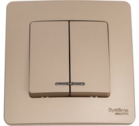 2-клавишный выключатель Systeme Electric Blanca скрытой установки (cх.5) с подсветкой, 10а, 250b, титан BLNVS010514
