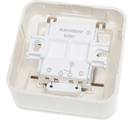 2-клавишный выключатель Systeme Electric Blanca открытой установки (cх.5) с подсветкой, 6а, 250в, молочный BLNVA065102