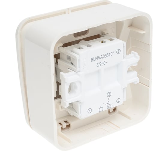 2-клавишный выключатель Systeme Electric Blanca открытой установки (cх.5) с подсветкой, 6а, 250в, молочный BLNVA065102