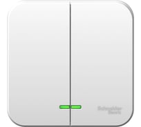 2-клавишный выключатель Systeme Electric Blanca открытой установки (cх.5) с подсветкой, монтажная пластина, 10а, 250b, белый BLNVA105121