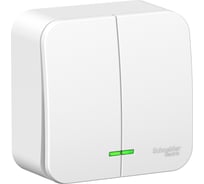 2-клавишный выключатель Systeme Electric Blanca открытой установки (cх.5) с подсветкой, монтажная пластина, 10а, 250b, белый BLNVA105121
