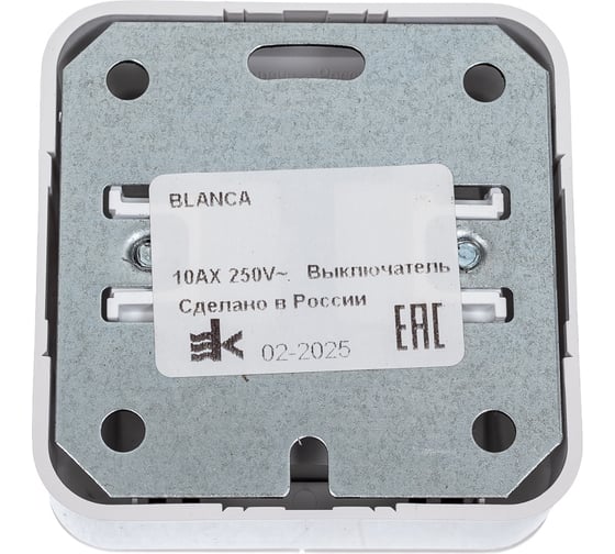 2-клавишный выключатель Systeme Electric Blanca открытой установки (cх.5) с подсветкой, монтажная пластина, 10а, 250b, белый BLNVA105121