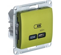 Розетка Systeme Electric Glossa usb тип-c 65w высокоскор.заряд. qc, pd, механизм, фисташковый GSL001027