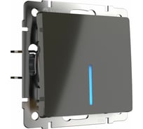 Одноклавишный проходной выключатель WERKEL WL07-SW-1G-2W-LED/ с подсветкой серо-коричневый a035909
