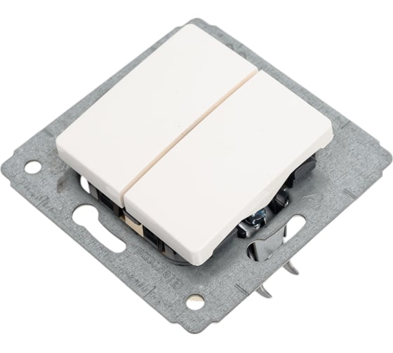 Двухклавишный выключатель 10 AX БЕЛ CAR Legrand 773658