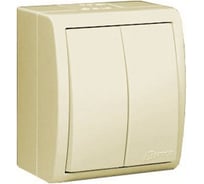 Двухклавишный выключатель с подсветкой IP54, слоновая кость Simon 1594399-031