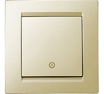 Клавишная кнопка с пиктограммой, слоновая кость Simon 1590150-031