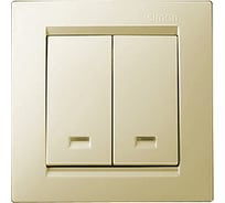 Двухклавишный выключатель с подсветкой, слоновая кость Simon 1590392-031