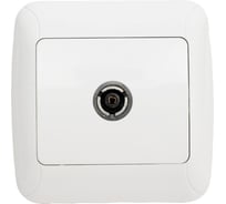 Розетка телевизионная GUNSAN Fantasy проходная белый 16231100-161122