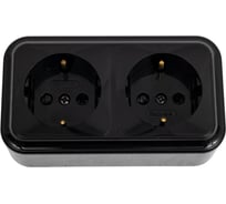 2-местная розетка Bylectrica ОУ с заземлением, со шторками, серия ПРАЛЕСКА РА16-274 черный