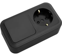Блок Bylectrica 1 выключатель + розетка с землей, открытая установка, со шторками, серия ПРАЛЕСКА В-РЦ-577 черный