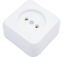 Розетка ООО Ливны-Электро РА 10-007 белая РАф 724