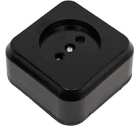 Розетка ООО Ливны-Электро РА 10-007 квадратная с донышком, черная РА 1725