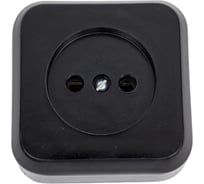 Розетка ООО Ливны-Электро РА 10-007 квадратная, черная РА 1722