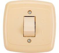 Одноклавишный выключатель ООО Ливны-Электро скрытой установки С1-002 УХЛ 4 слоновая кость ВСП 12