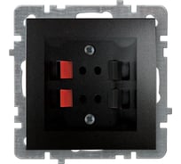 Механизм+накладка розетки Nilson аудио, 2-местная, стерео СУ, TOURAN-ALEGRA-THOR черный глянец 24220450