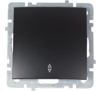 1-клавишный механизм выключателя Nilson СУ (проходной), TOURAN-ALEGRA-THOR, metallic, матовый черный, 24380407