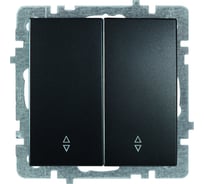 2-клавишный механизм выключателя Nilson СУ (проходной), TOURAN-ALEGRA-THOR, metallic, матовый черный, 24380409