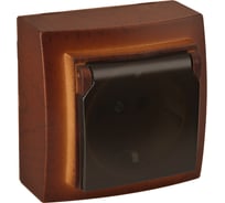 1-местная розетка Nilson ОУ с заземляющим контактом, с крышкой, Themis, Черешня 26261018