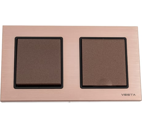 Комплект Эксклюзивный Шампань - Выключатель 1-клавишный + Розетка с заземлением с крышкой Metronex Electric FRM050207BSH