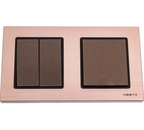 Комплект Эксклюзивный Шампань - Выключатель 2-клавишный + Розетка с заземлением с крышкой Metronex Electric FRM050208BSH