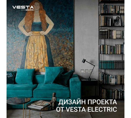 1-клавишный выключатель + розетки без заземления Vesta Electric Комплект-3, Exclusive Silver FRM050305SER