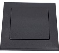 Выключатель Mutlusan Candela серый цвет (с винтом) 2125 401 0295