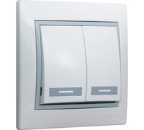 Двухклавишный выключатель с подсветкой Lezard СП Мира белый с серой вставкой 701-0215-112