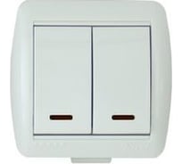 Двухклавишный выключатель с подсветкой Lezard ОП Ната белый 710-0200-112