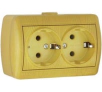 Двухместная розетка Lezard ОП Ната с/з, ольха 710-0700-127