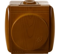 Одноместная розетка с крышкой и заземлением, ОП, ольха Lezard Ната 710-0700-123