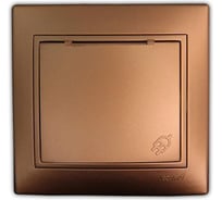 Розетка с заземлением и крышкой, СП, золотая Lezard Мира 701-1313-123