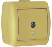 Телевизионная розетка, ОП, ольха Lezard Ната 710-0700-130