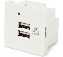 Модуль розетки USB для зарядки Hyperline M45-USBCH2-WH 2 порта, 2М, 4.2А, 5В, 45x45мм, белый 250097