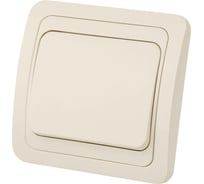 Выключатель слоновая кость 1-клавишный TDM ELECTRIC 10А серия "Валдай" SQ1804-0101