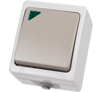 Выключатель TDM ELECTRIC 1-кл. с подсветкой открытой установки IP54 10А "Вуокса" SQ1803-0004