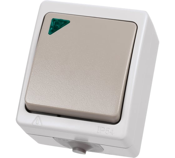 Выключатель TDM 1-кл. с подсветкой открытой установки IP54 10А "Вуокса" SQ1803-0004