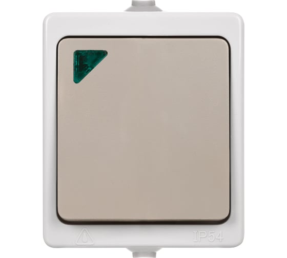 Выключатель TDM 1-кл. с подсветкой открытой установки IP54 10А "Вуокса" SQ1803-0004