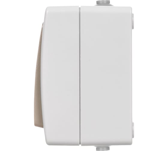 Выключатель TDM 1-кл. с подсветкой открытой установки IP54 10А "Вуокса" SQ1803-0004